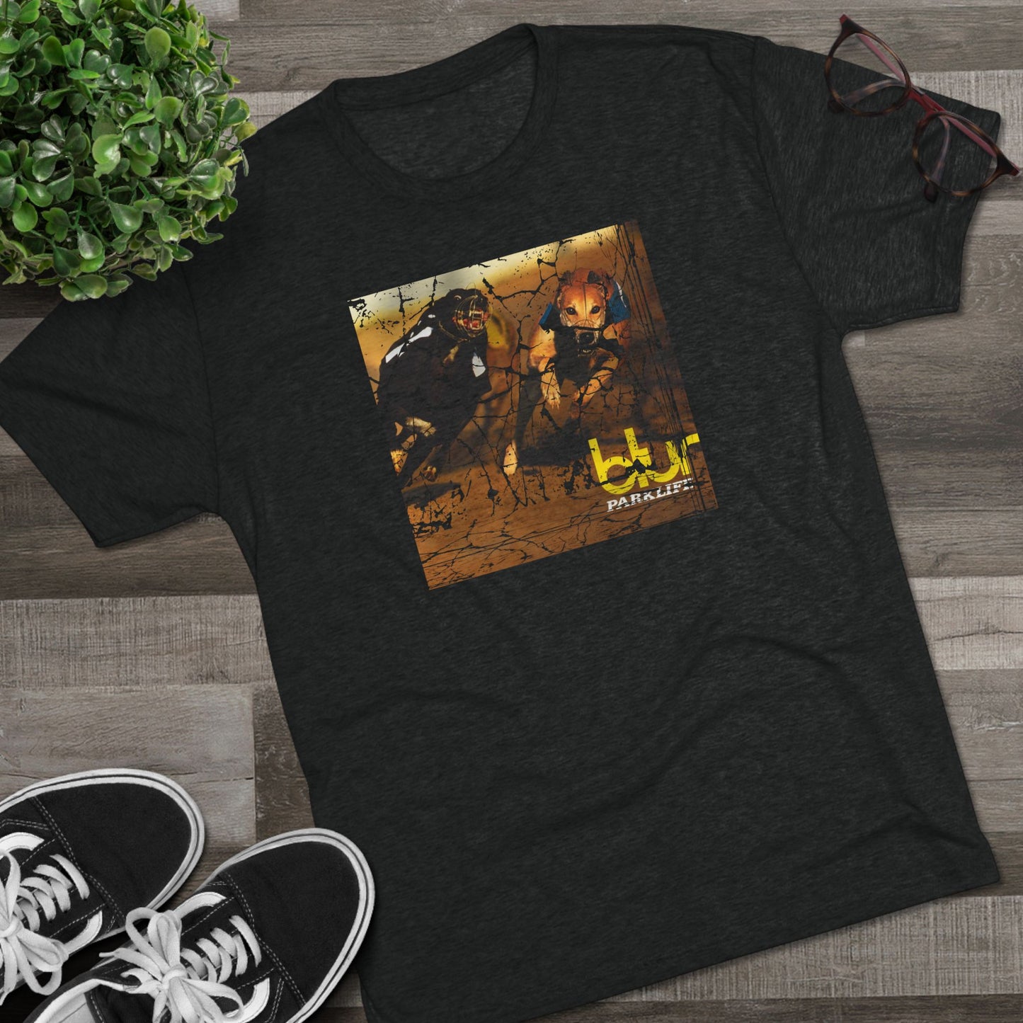 Vintage Tee / Album Art / Drop #1
