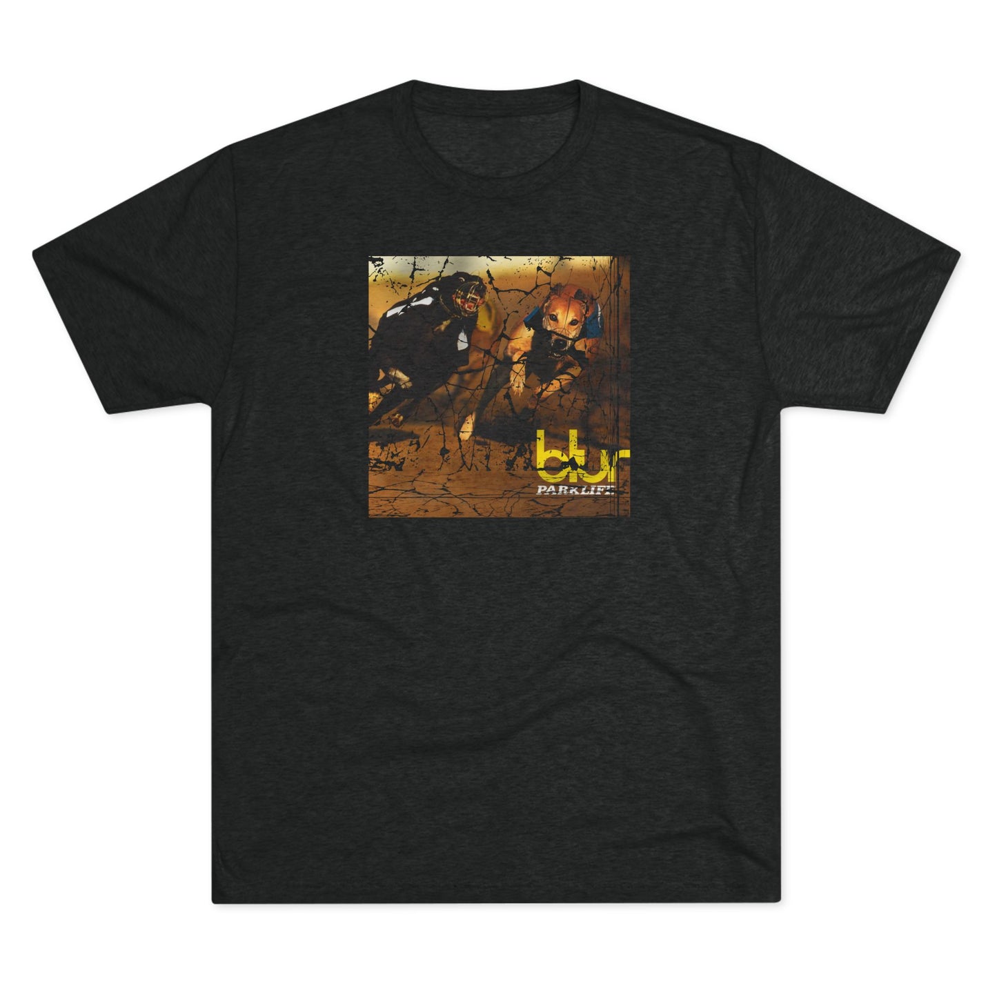 Vintage Tee / Album Art / Drop #1